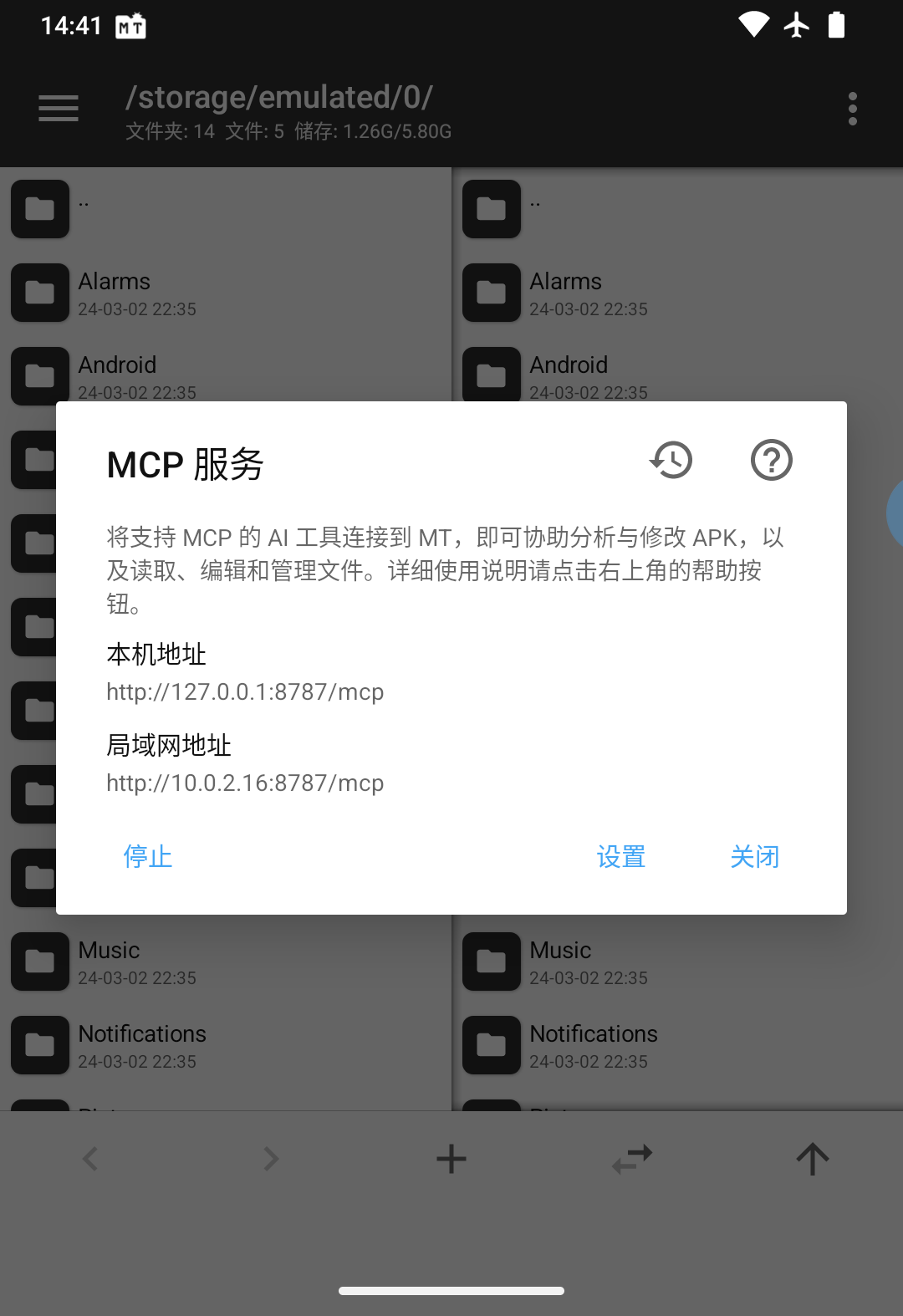 MCP 服务启动后的连接地址
